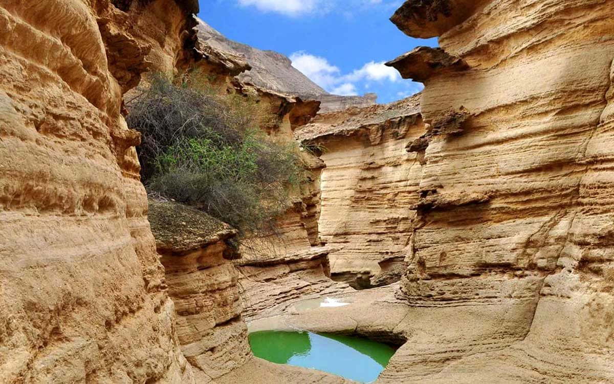 قشم